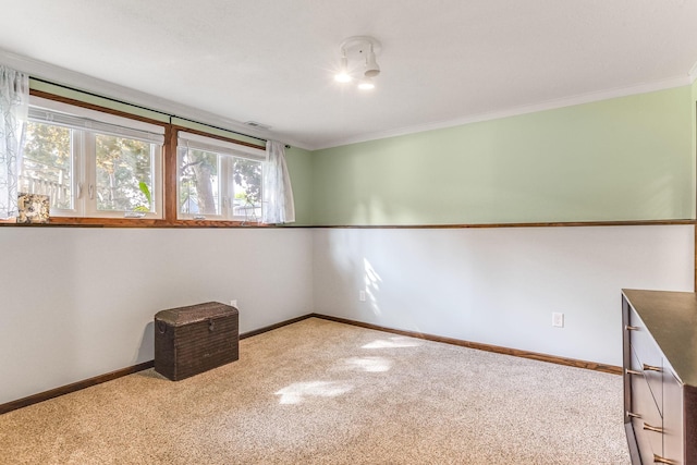 8563 72nd St S, Cottage Grove, MN 55016 - empty room with carpet flooring, ornamental molding, and baseboards