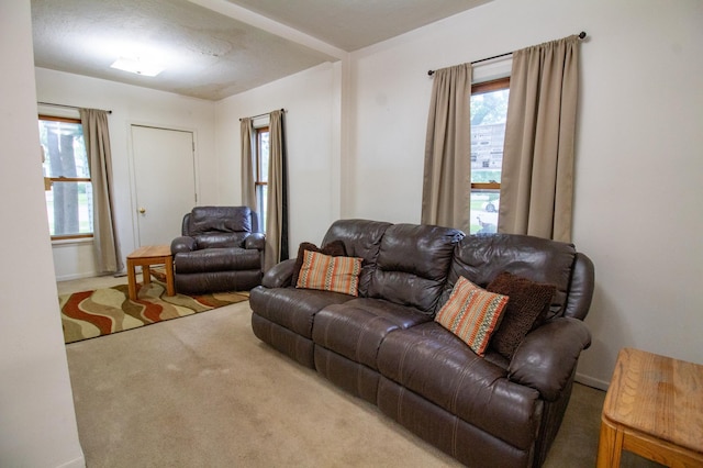 103 3rd St NE, Barnesville, MN 56514 - living room featuring carpet floors