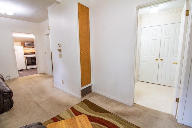 103 3rd St NE, Barnesville, MN 56514 - living room with carpet flooring and baseboards