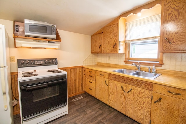 103 3rd St NE, Barnesville, MN 56514 - kitchen featuring white electric range, under cabinet range hood, a sink, dark wood-type flooring, and vaulted ceiling