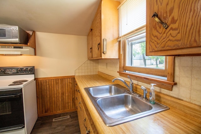 103 3rd St NE, Barnesville, MN 56514 - kitchen featuring electric range, under cabinet range hood, a sink, dark wood-style flooring, and decorative backsplash
