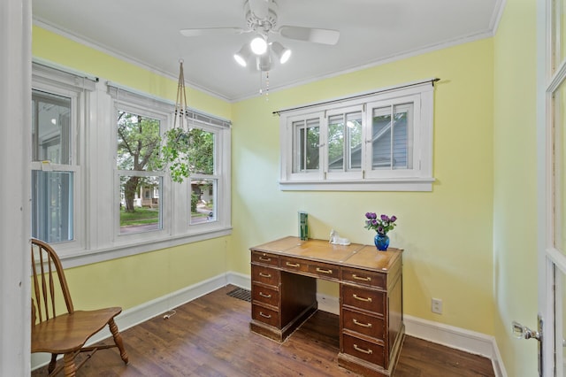 1252 Arkwright St, Saint Paul, MN 55130 - office space with ceiling fan, dark wood-type flooring, and crown molding