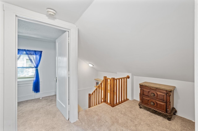1252 Arkwright St, Saint Paul, MN 55130 - additional living space with carpet floors and lofted ceiling