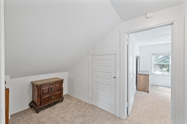 1252 Arkwright St, Saint Paul, MN 55130 - bonus room with carpet and vaulted ceiling