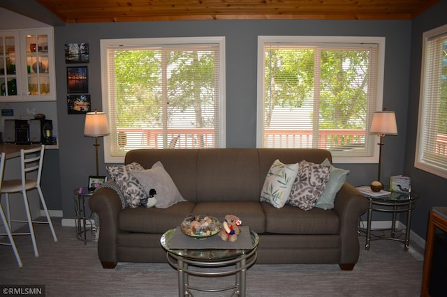 31145 409th Pl, Aitkin, MN 56431 - living room with plenty of natural light