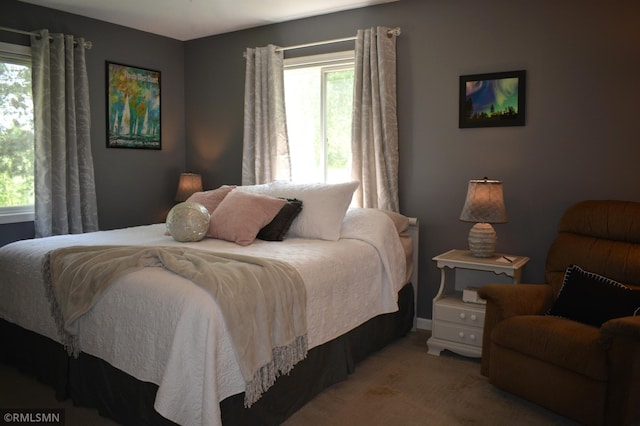 31145 409th Pl, Aitkin, MN 56431 - bedroom with multiple windows and light carpet