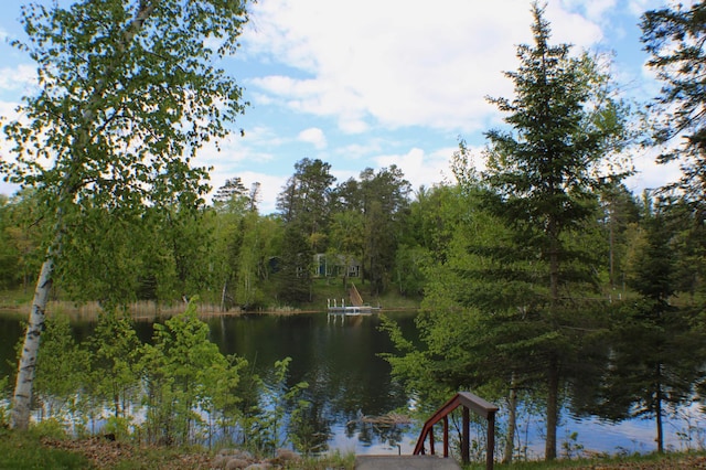 7047 Kingfisher Ln NE, Frohn Twp, MN 56601 - water view