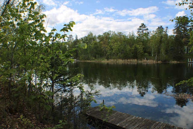 7047 Kingfisher Ln NE, Frohn Twp, MN 56601 - water view featuring a forest