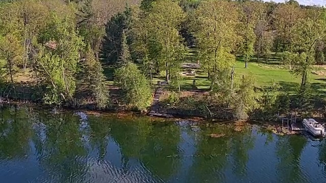 7047 Kingfisher Ln NE, Frohn Twp, MN 56601 - water view with a heavily wooded area