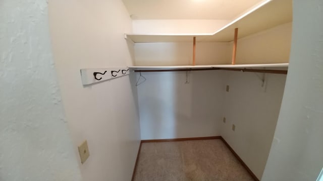 7047 Kingfisher Ln NE, Frohn Twp, MN 56601 - spacious closet with carpet