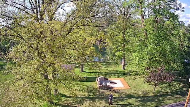 7047 Kingfisher Ln NE, Frohn Twp, MN 56601 - view of surrounding community