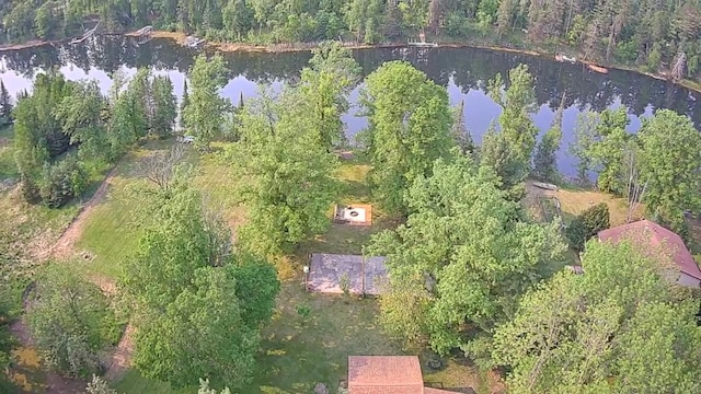7047 Kingfisher Ln NE, Frohn Twp, MN 56601 - aerial view of property's location featuring a large body of water and a forest