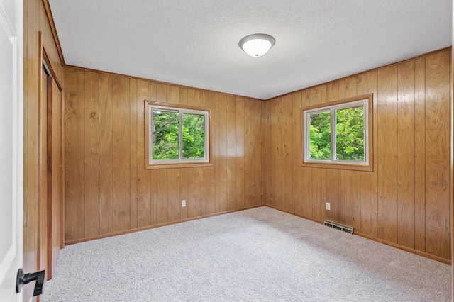 15429 Ramsey Blvd NW, Ramsey, MN 55303 - carpeted empty room with a textured ceiling, baseboards, and wood walls