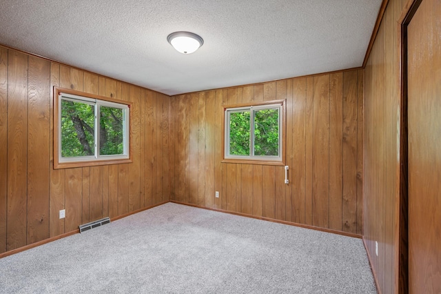 15429 Ramsey Blvd NW, Ramsey, MN 55303 - carpeted spare room with a textured ceiling and wood walls