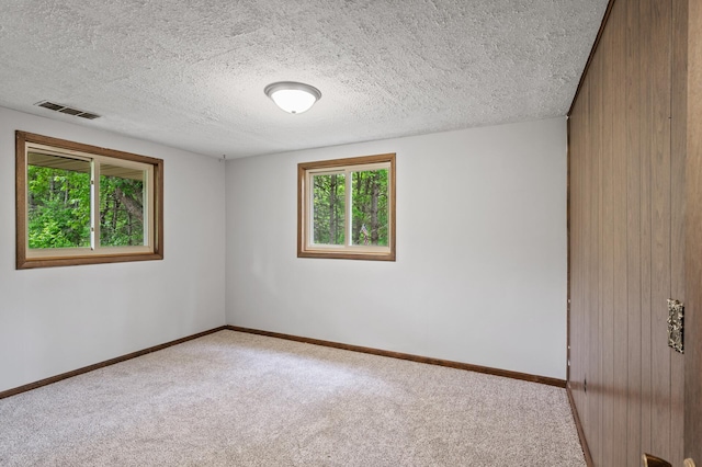 15429 Ramsey Blvd NW, Ramsey, MN 55303 - carpeted empty room with baseboards, wood walls, and a textured ceiling