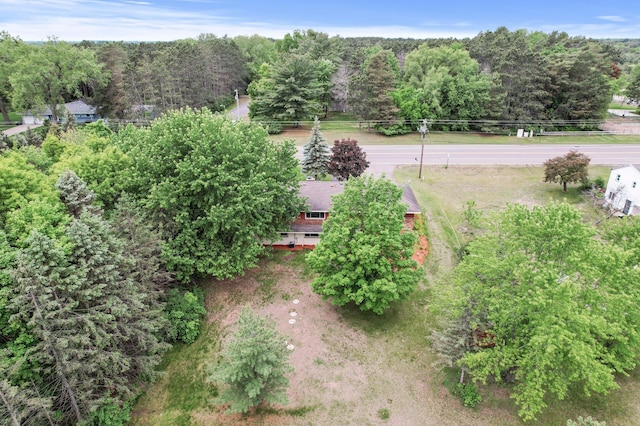 15429 Ramsey Blvd NW, Ramsey, MN 55303 - drone / aerial view of a forest