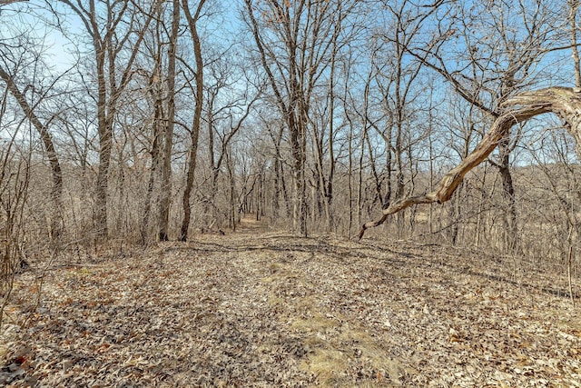 18067X 233rd Ave NW, Orrock Twp, MN 55309