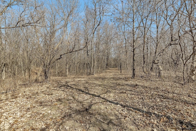 18067X 233rd Ave NW, Orrock Twp, MN 55309