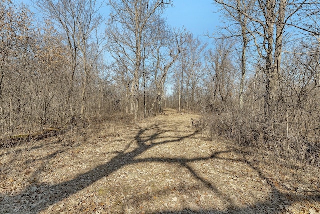 18067X 233rd Ave NW, Orrock Twp, MN 55309
