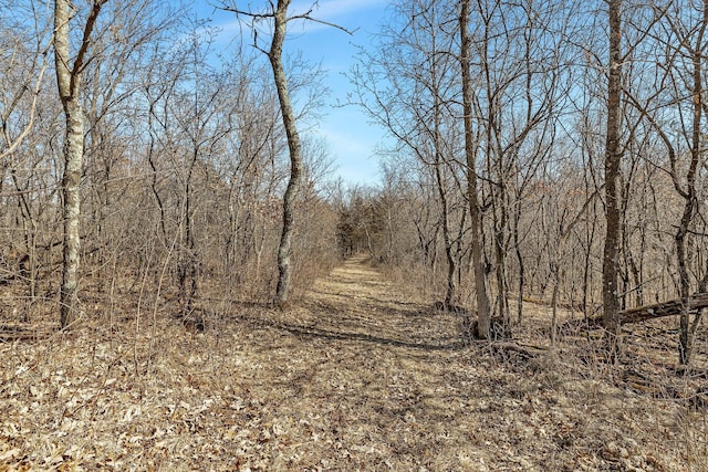 18067X 233rd Ave NW, Orrock Twp, MN 55309