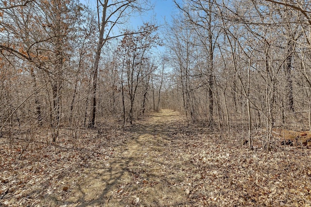18067X 233rd Ave NW, Orrock Twp, MN 55309