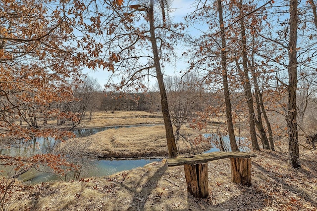 18067X 233rd Ave NW, Orrock Twp, MN 55309