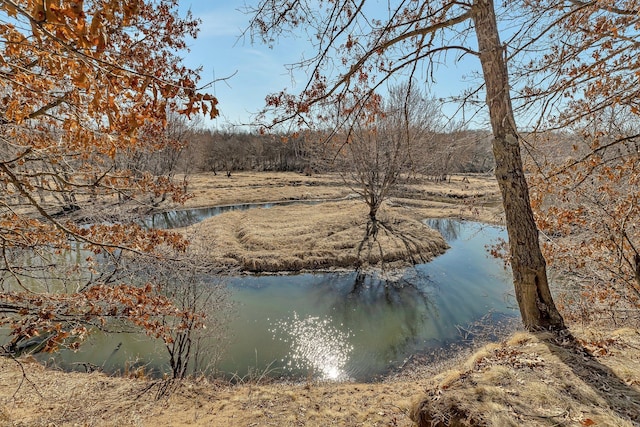 18067X 233rd Ave NW, Orrock Twp, MN 55309