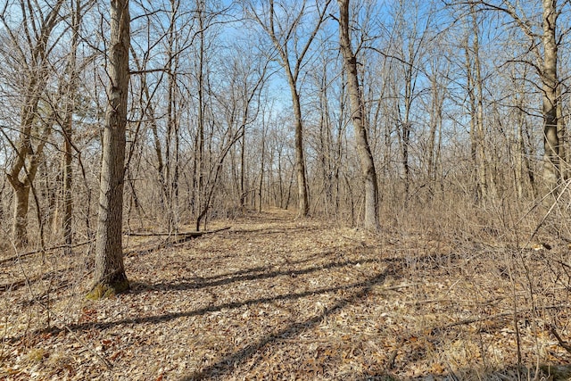 18067X 233rd Ave NW, Orrock Twp, MN 55309