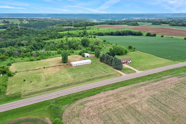 17323 County 31st Blvd, Welch Twp, MN 55089 - view of rural area