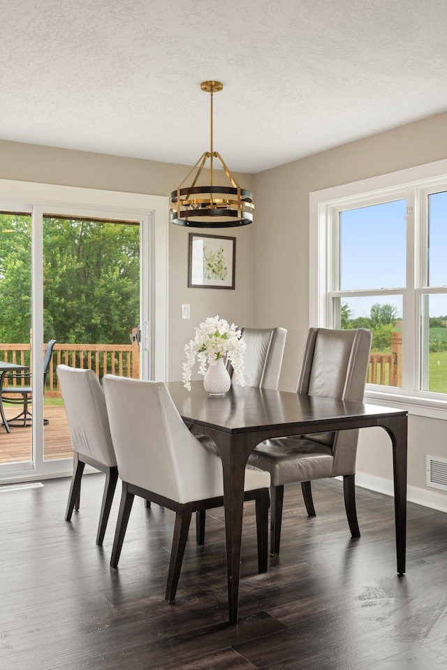 17323 County 31st Blvd, Welch Twp, MN 55089 - dining room with plenty of natural light, a chandelier, dark wood-style floors, and a textured ceiling