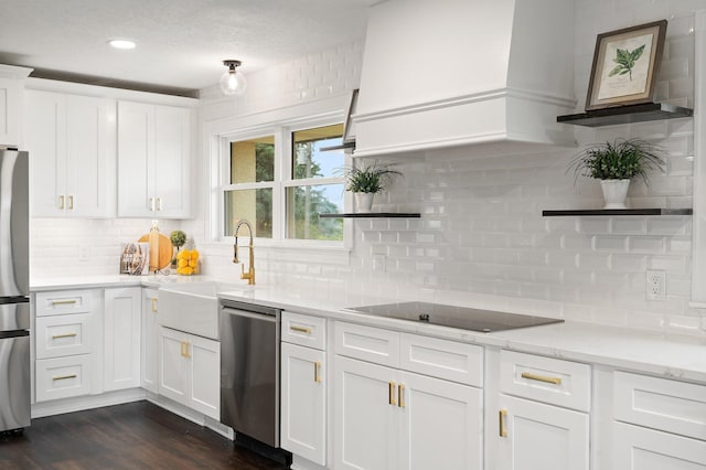 17323 County 31st Blvd, Welch Twp, MN 55089 - kitchen featuring appliances with stainless steel finishes, premium range hood, white cabinetry, decorative backsplash, and dark wood-type flooring