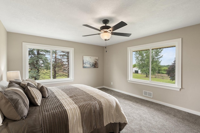 17323 County 31st Blvd, Welch Twp, MN 55089 - bedroom with multiple windows, carpet, and a ceiling fan