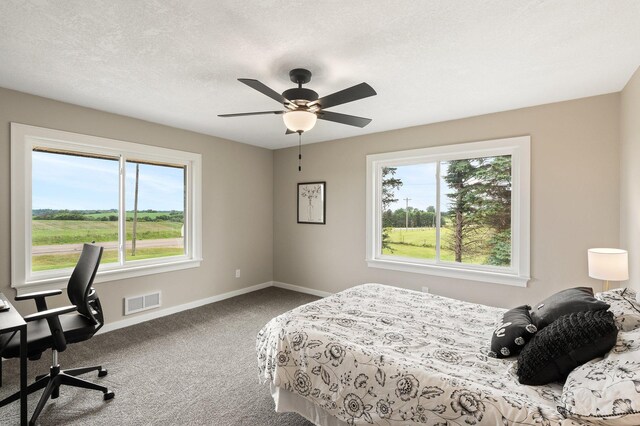 17323 County 31st Blvd, Welch Twp, MN 55089 - carpeted bedroom with multiple windows and ceiling fan