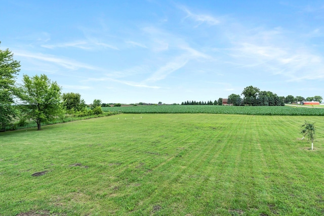 17323 County 31st Blvd, Welch Twp, MN 55089 - view of grassy yard with a view of rural / pastoral area and agricultural plots