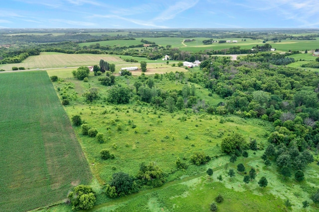 17323 County 31st Blvd, Welch Twp, MN 55089 - view of property location featuring rural landscape and abundant farmland