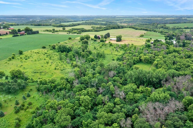 17323 County 31st Blvd, Welch Twp, MN 55089 - aerial view of sparsely populated area