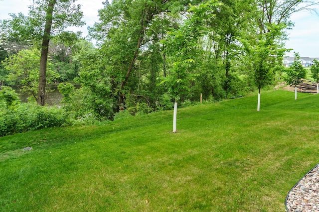 7830 Adler Trl, Inver Grove Heights, MN 55077 - view of green lawn