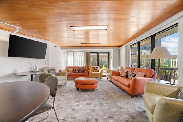 26 10th St W Unit 706, Saint Paul, MN 55102 - carpeted living room with wooden ceiling
