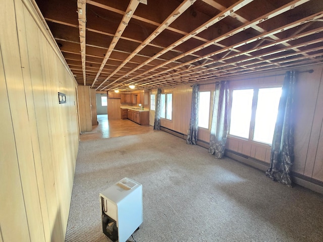 820 Chinook Ave SW, Avon, MN 56310 - photo 26