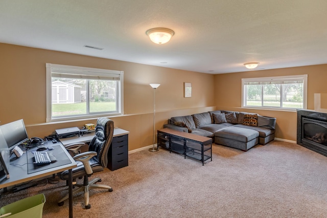217 Hickory Ln E, Shakopee, MN 55379 - office space featuring light colored carpet and baseboards