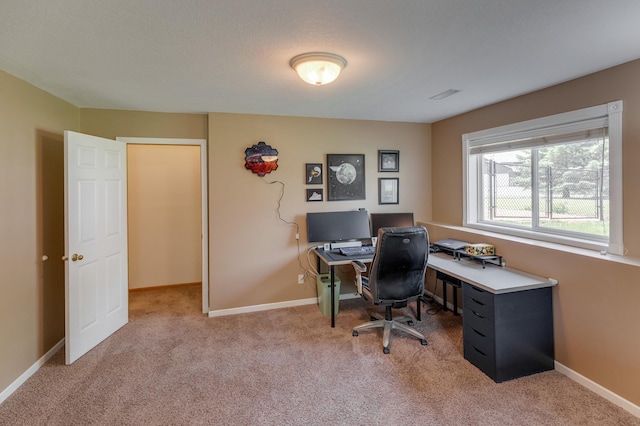 217 Hickory Ln E, Shakopee, MN 55379 - home office with light carpet and baseboards
