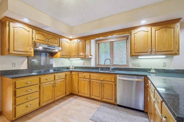 3049 12th St NW, New Brighton, MN 55112 - kitchen with dishwasher, under cabinet range hood, a sink, a textured ceiling, and light wood-type flooring