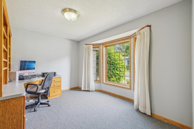 3049 12th St NW, New Brighton, MN 55112 - office with carpet flooring, a textured ceiling, and baseboards