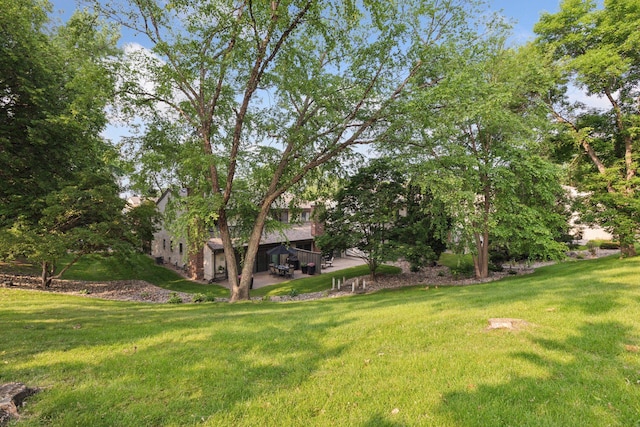 6050 Blake Ridge Rd, Edina, MN 55436 - view of grassy yard