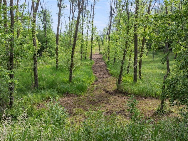 TBD Mcgowan Rd, Brainerd, MN 56401