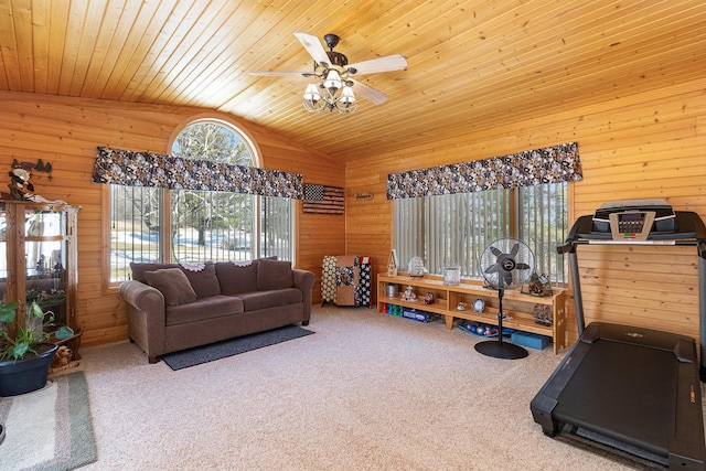 6200 37th St W, Webster, MN 55088 - exercise area featuring wood walls, lofted ceiling, carpet, a ceiling fan, and wooden ceiling