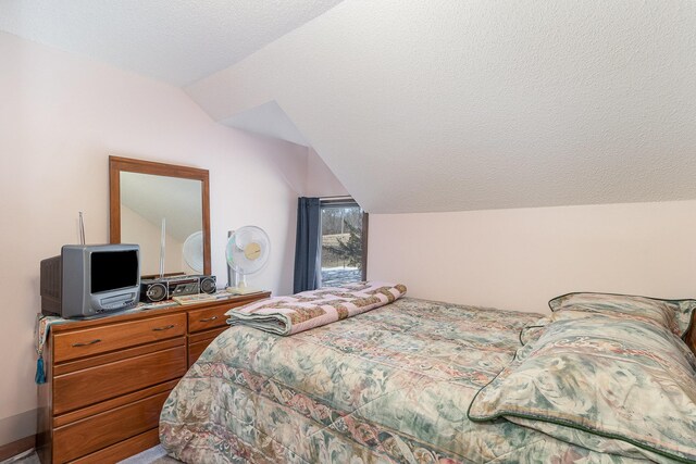6200 37th St W, Webster, MN 55088 - bedroom featuring lofted ceiling