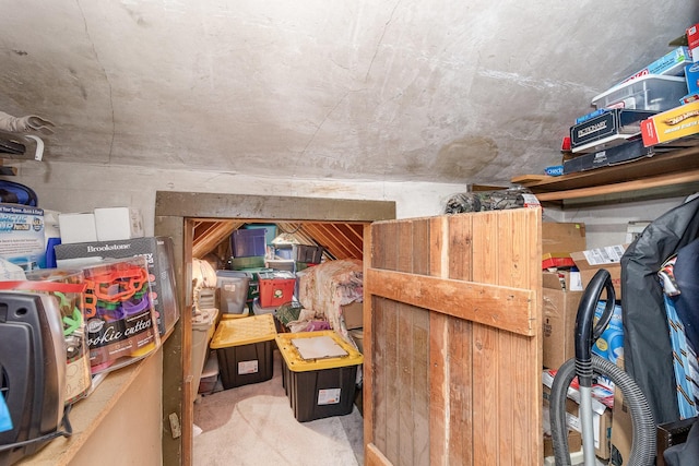 6200 37th St W, Webster, MN 55088 - view of storage area