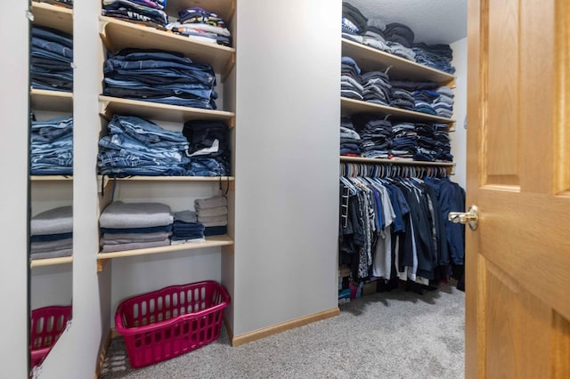 12584 County 18 SW, Brainerd, MN 56401 - spacious closet featuring carpet flooring