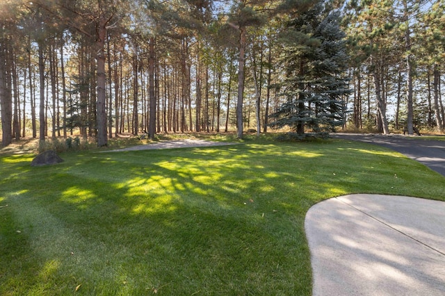 12584 County 18 SW, Brainerd, MN 56401 - view of grassy yard